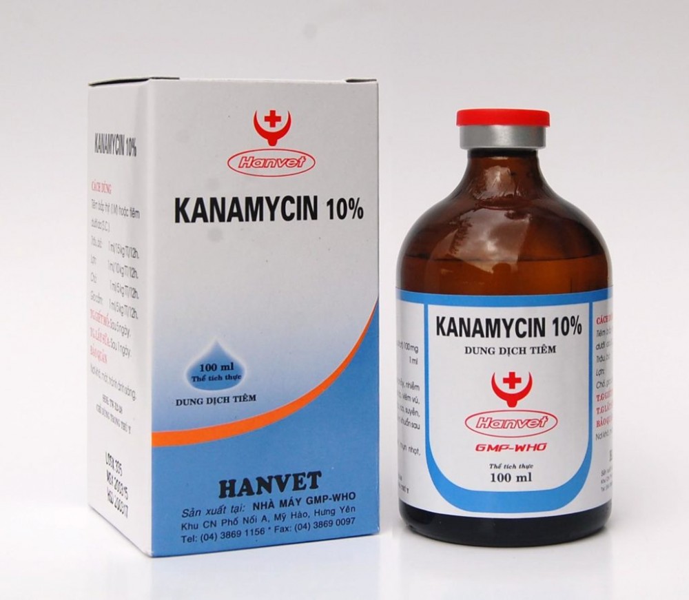 Kanamycin