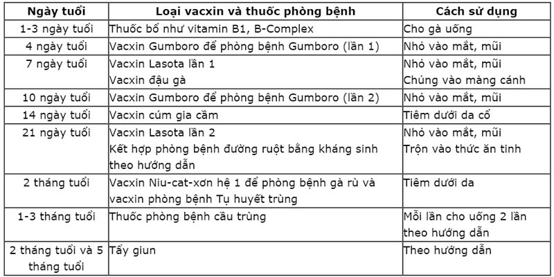 thuốc và vắc xin phòng bệnh cho gà